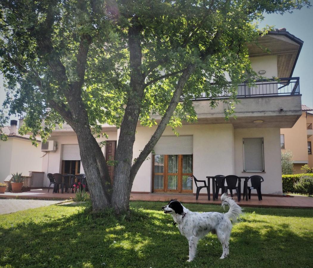 Villa Casa del Carmine Anghiari Esterno foto