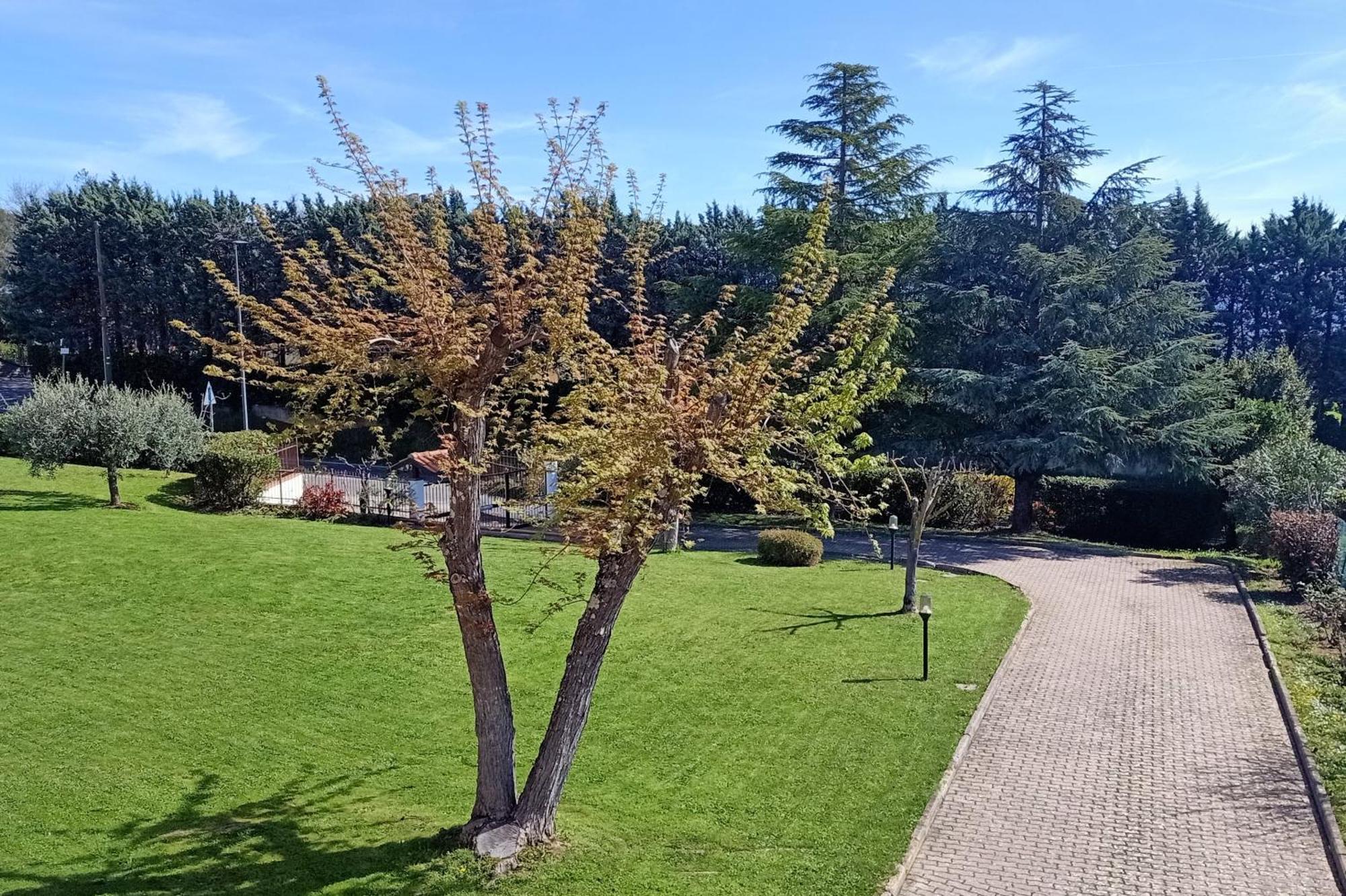 Villa Casa del Carmine Anghiari Esterno foto